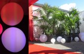 Globo
