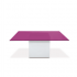 Square Violeta