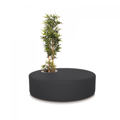 Poppy Plant Preto
