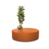 Poppy Plant Laranja