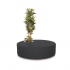 Poppy Plant Preto